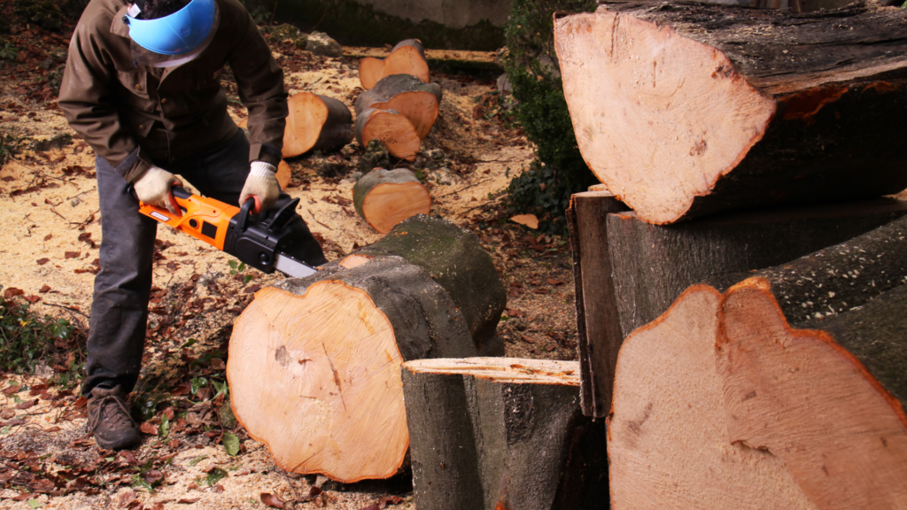industria forestal