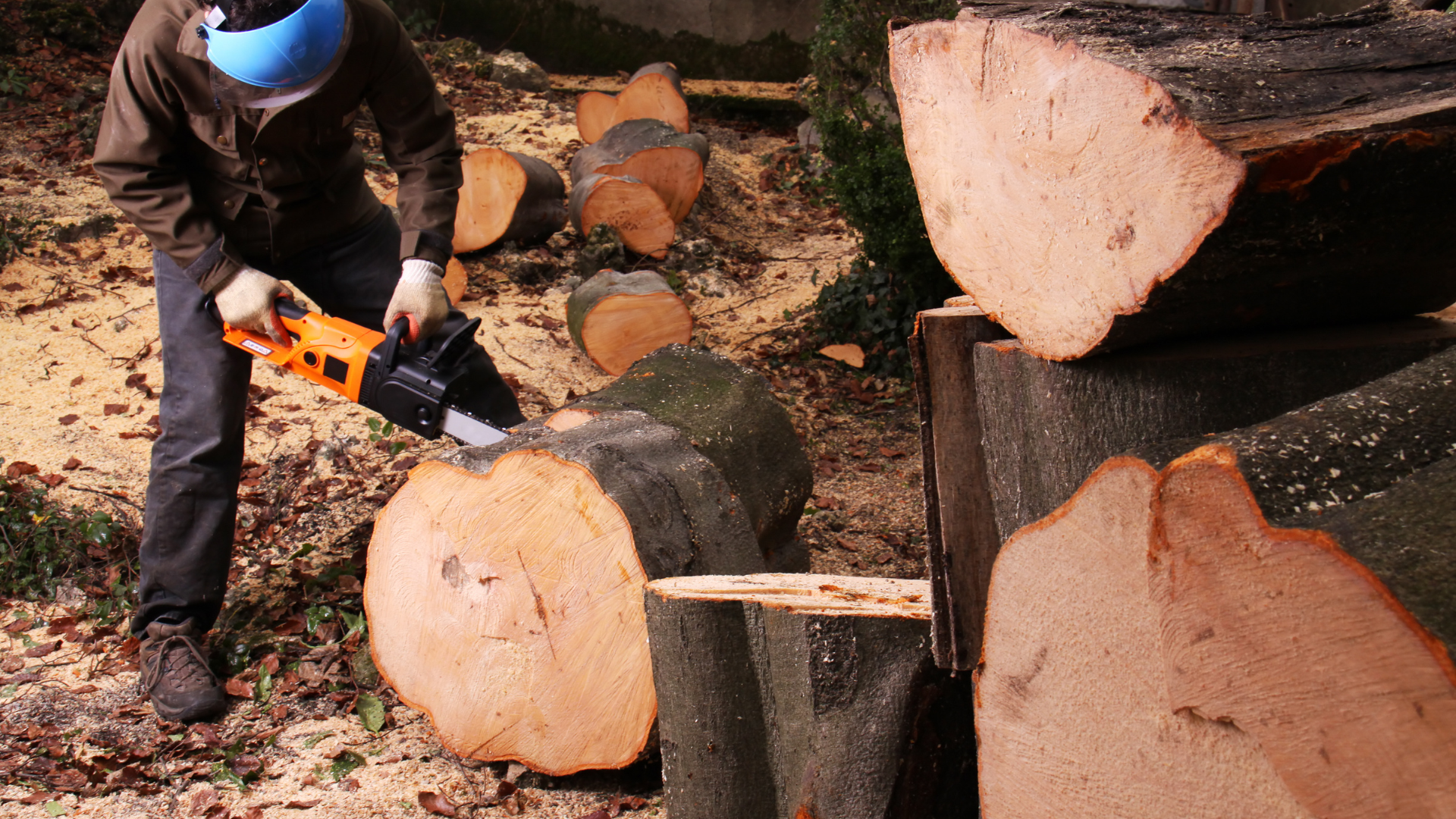 industria forestal