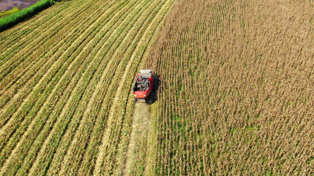 agroindustria